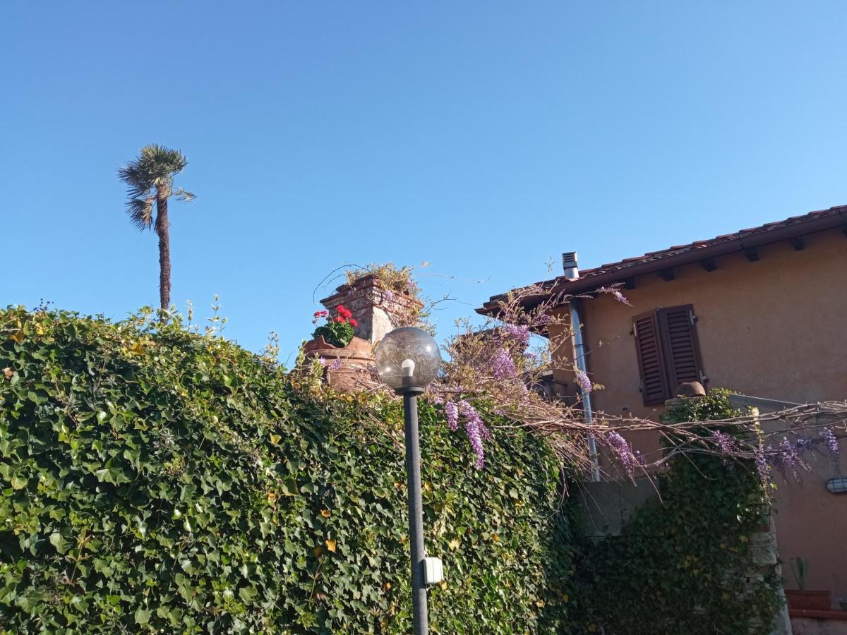 Apartamento Il Silenzio Lucca Exterior foto