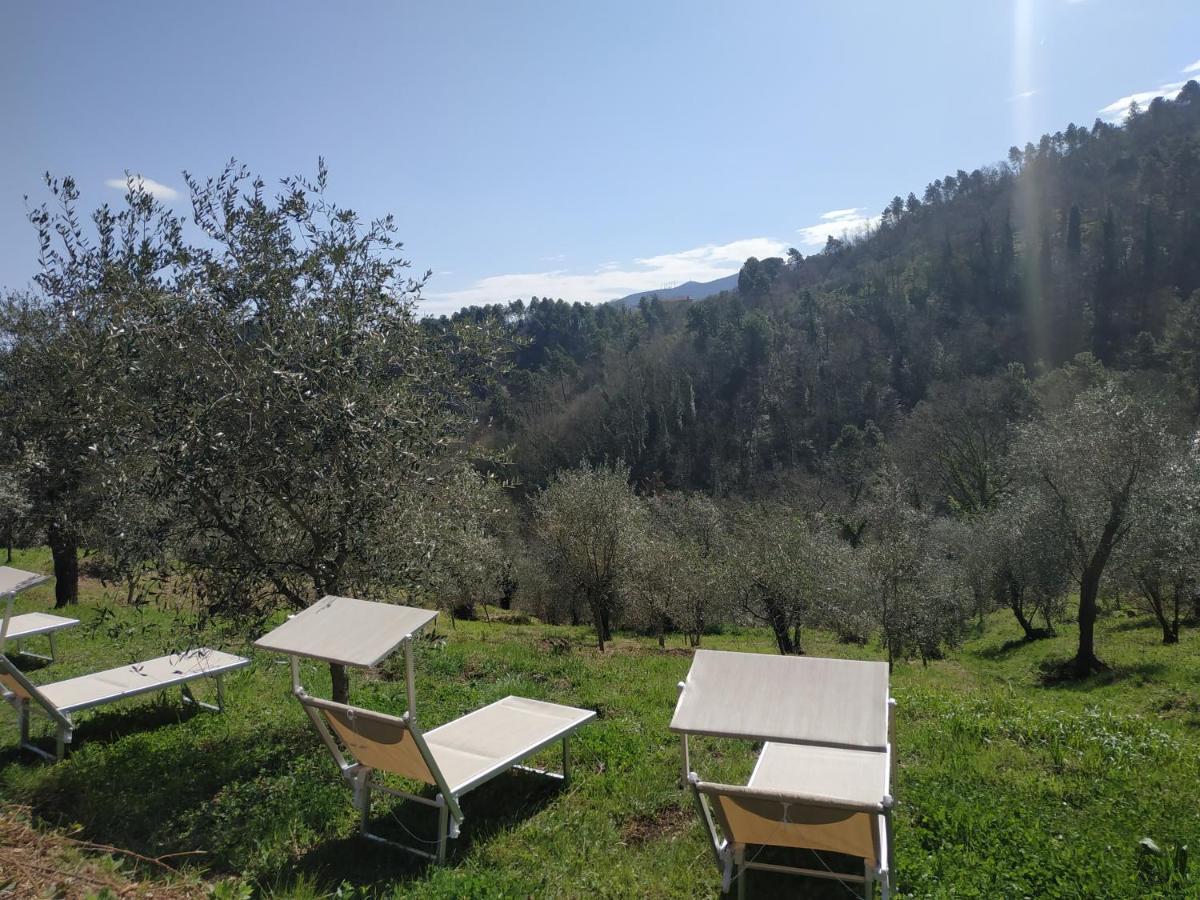 Apartamento Il Silenzio Lucca Exterior foto
